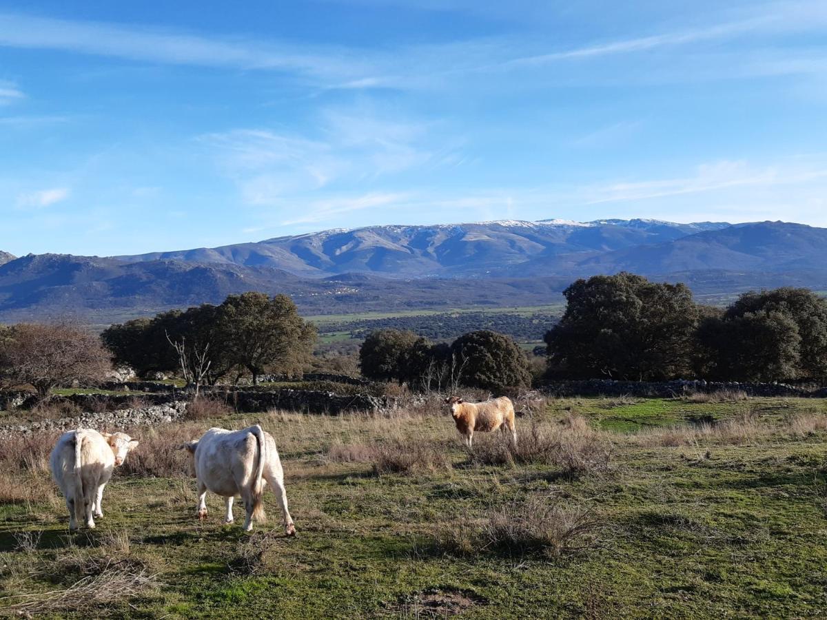 Casa Rural Mi Descanso Valdefuentes de Sangusín Eksteriør billede